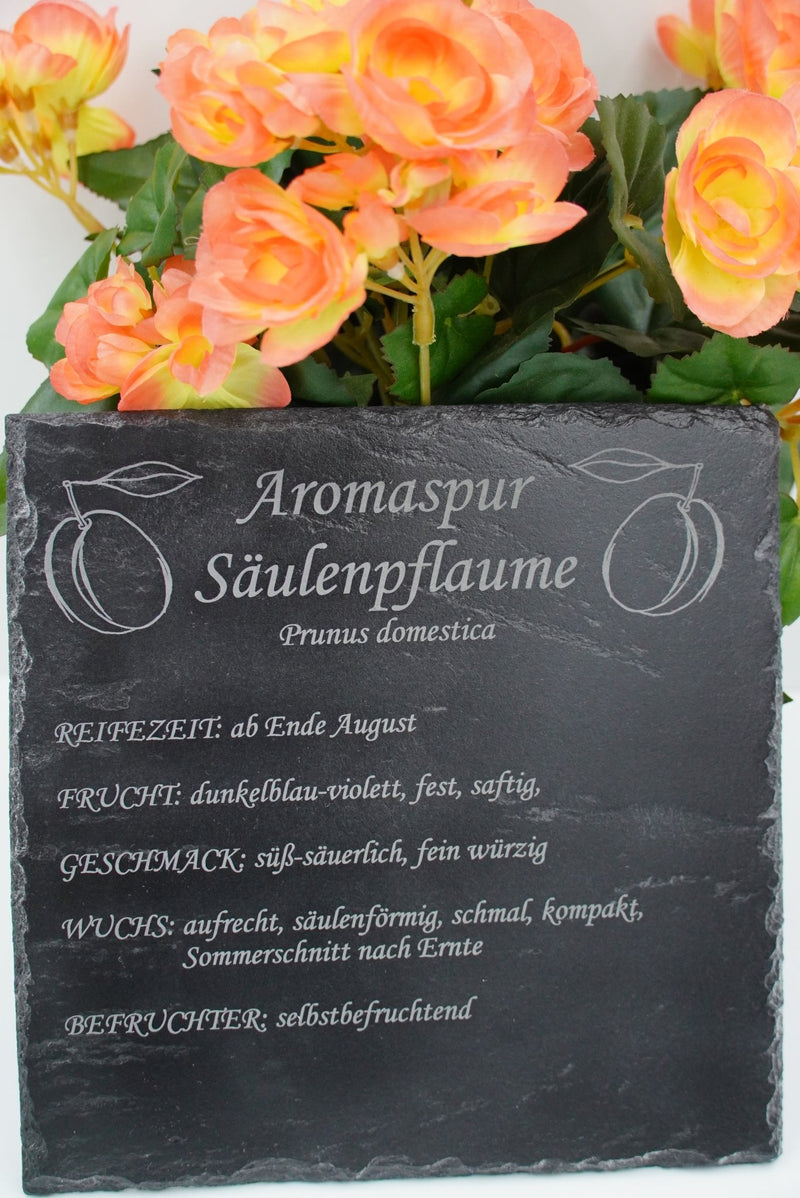 Garten Baumschilder Pflaumen - RJC - Circle