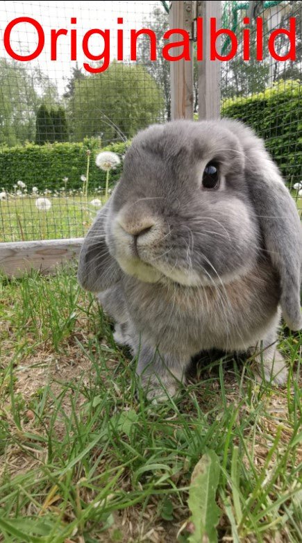 Individuelle Fotogravur auf Schieferplatte eckig – Dein Foto als Kunstwerkeckig - RJC - Circle