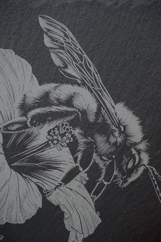 Insekten Untersetzer "Honigbiene auf Hibiskus" - personalisierbar - RJC - Circle