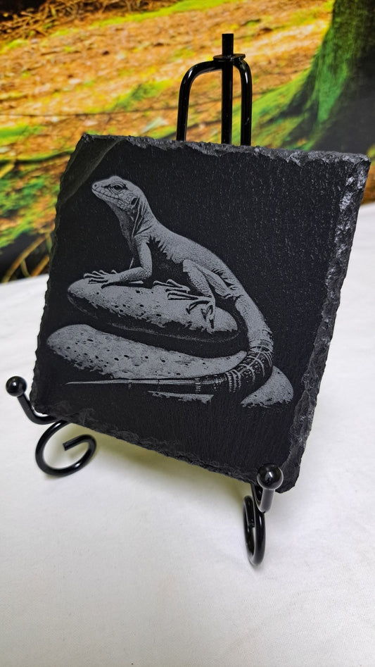 Tier Untersetzer Echse, Frosch, Kolibri, Libelle - RJC - Circle