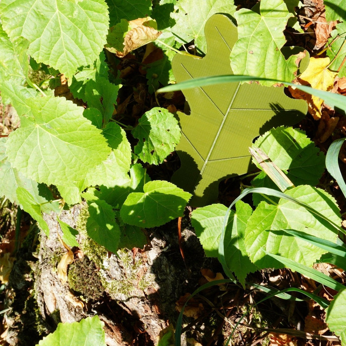3D Druck "Eichenblatt" Geocaching - RJC - Circle