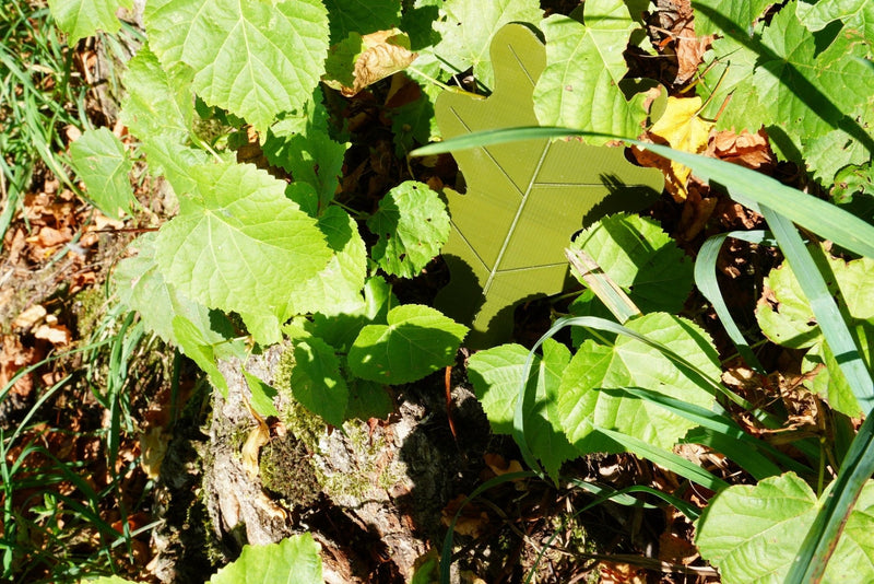 3D Druck "Eichenblatt" Geocaching - RJC - Circle
