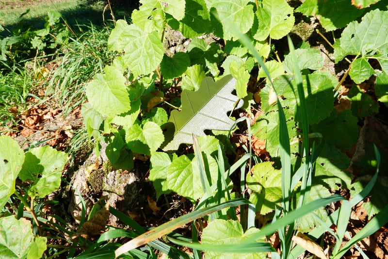 3D Druck "Eichenblatt" Geocaching - RJC - Circle