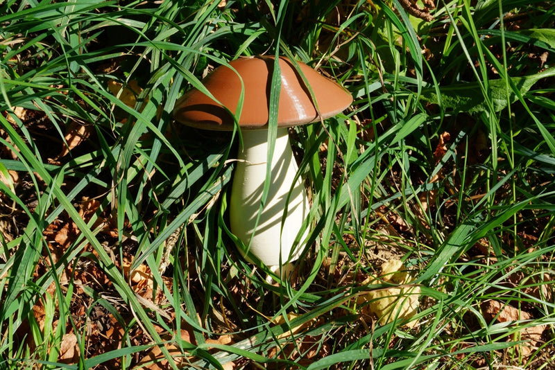 3D Druck "Pilz" Geocaching - RJC - Circle