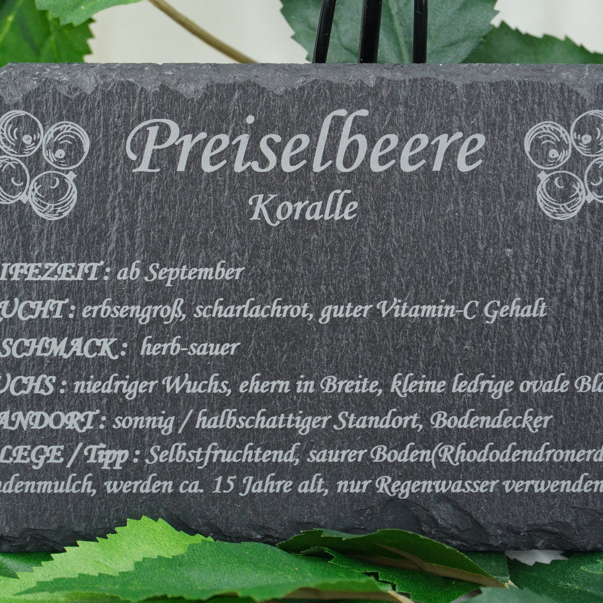 Garten Obst- und Strauchgehölze - RJC-Circle