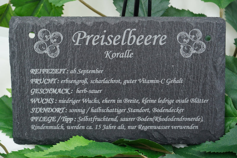 Garten Obst- und Strauchgehölze - RJC-Circle