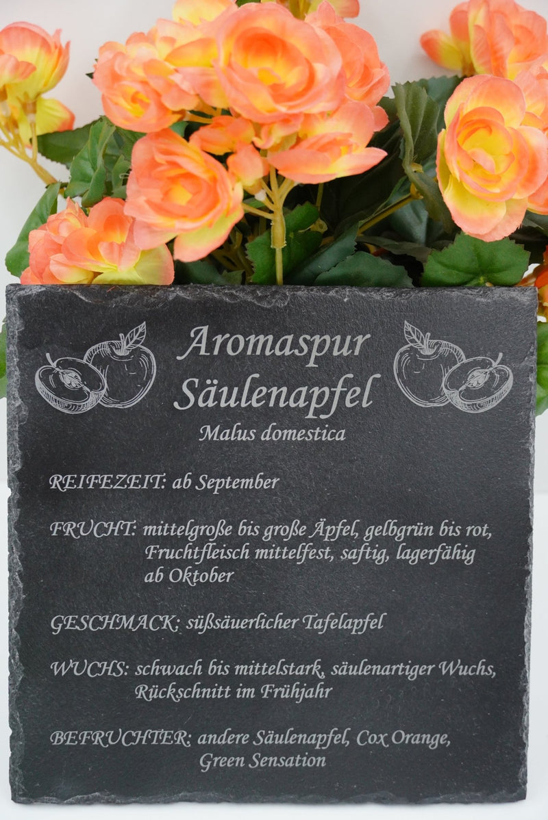 Garten Baumschilder Äpfel - RJC - Circle