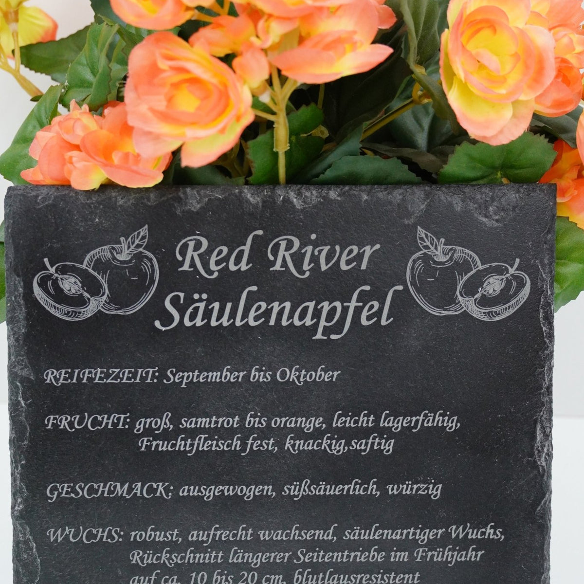 Garten Baumschilder Äpfel - RJC - Circle