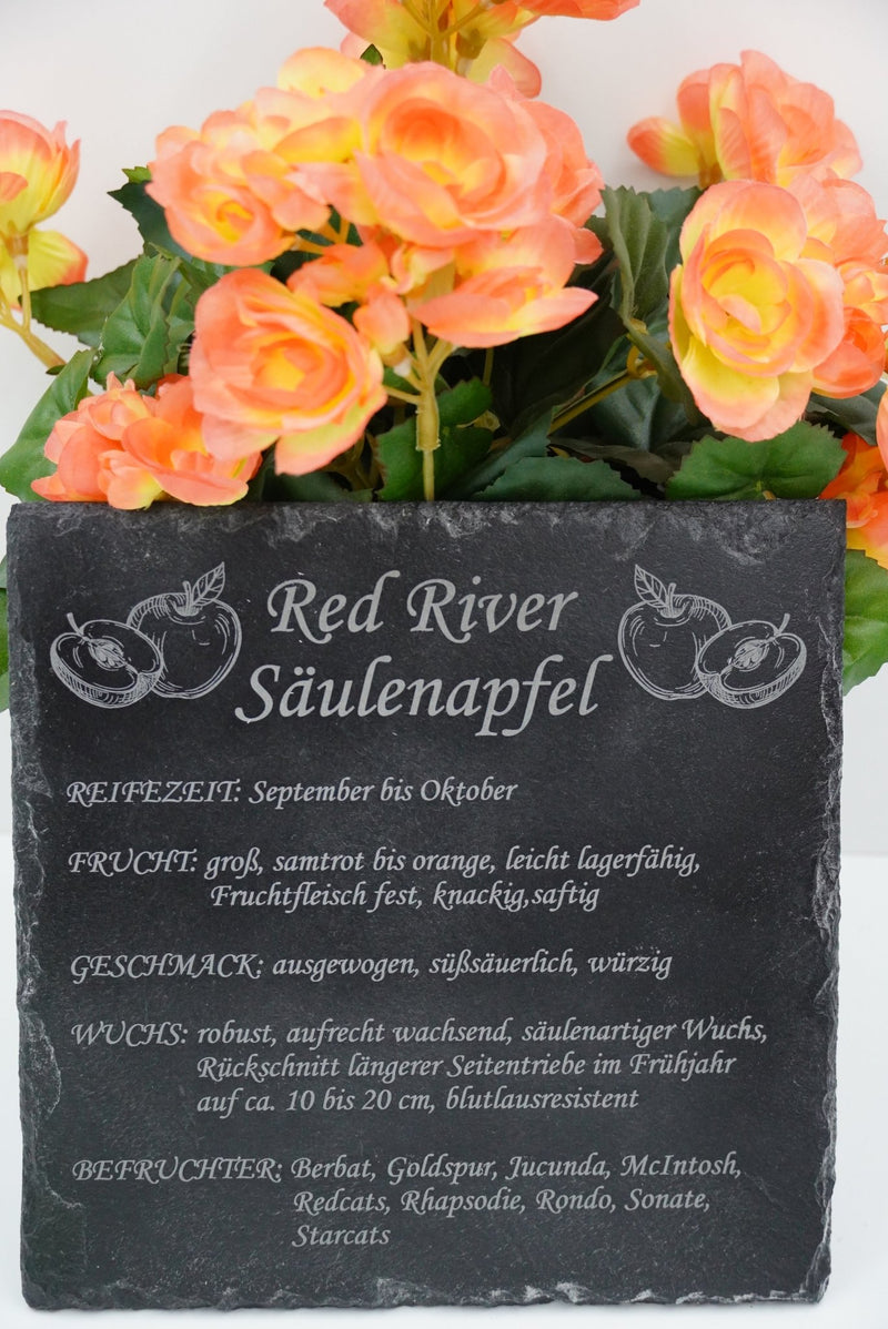 Garten Baumschilder Äpfel - RJC - Circle