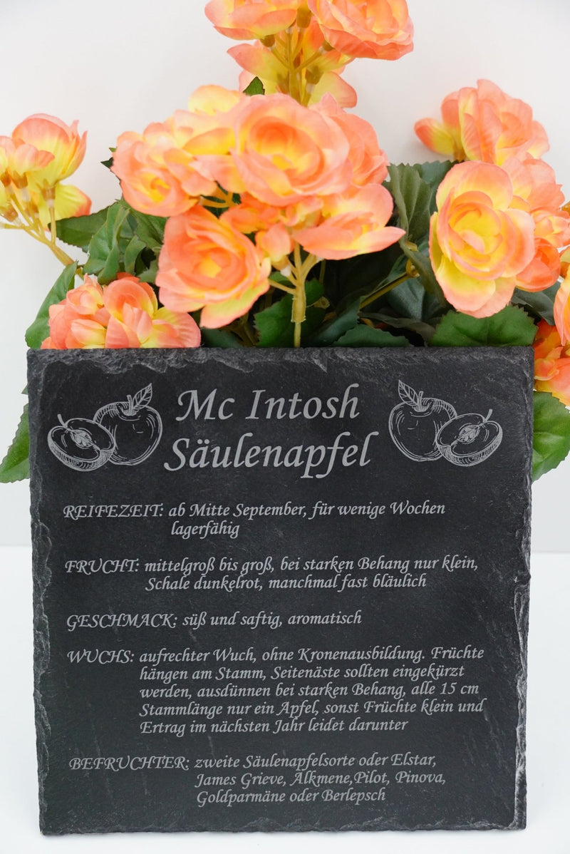 Garten Baumschilder Äpfel - RJC - Circle