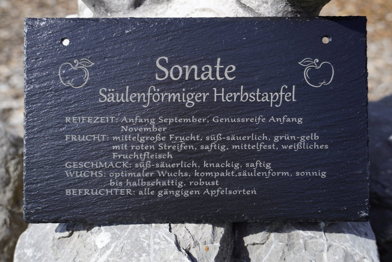 Garten Baumschilder Äpfel - RJC - Circle