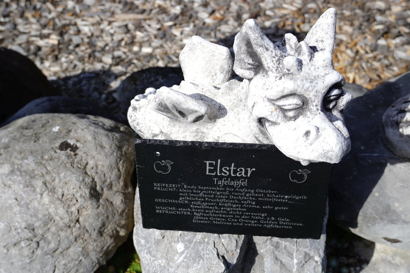 Garten Baumschilder Äpfel - RJC - Circle