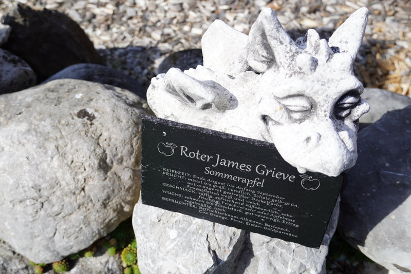 Garten Baumschilder Äpfel - RJC - Circle