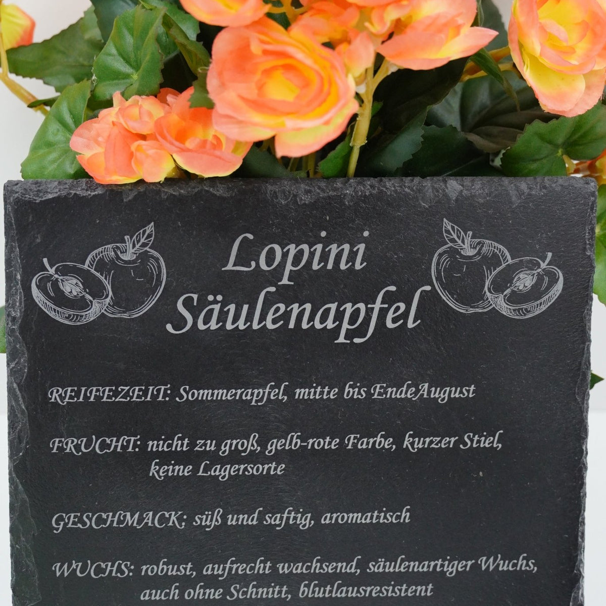 Garten Baumschilder Äpfel - RJC - Circle
