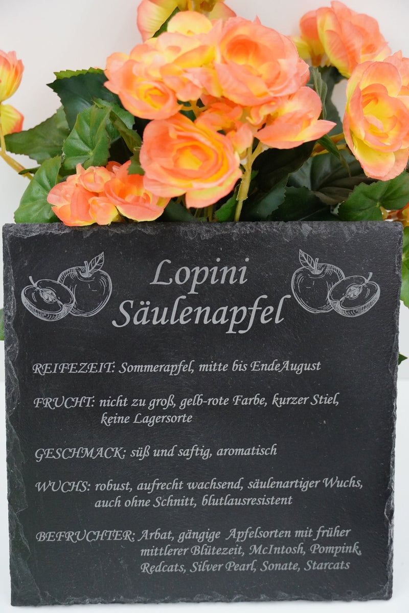 Garten Baumschilder Äpfel - RJC - Circle