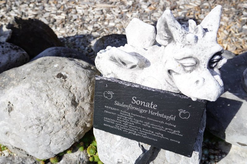 Garten Baumschilder Äpfel - RJC - Circle