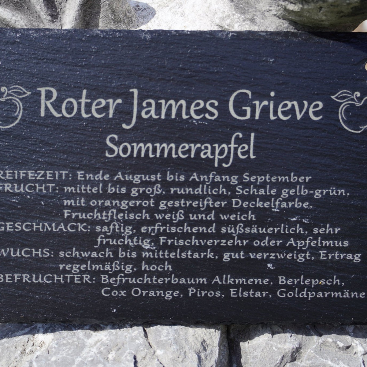 Garten Baumschilder Äpfel - RJC - Circle