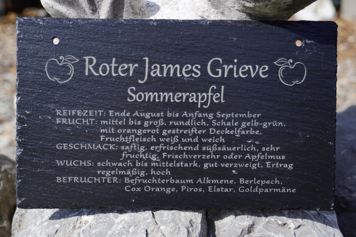 Garten Baumschilder Äpfel - RJC - Circle