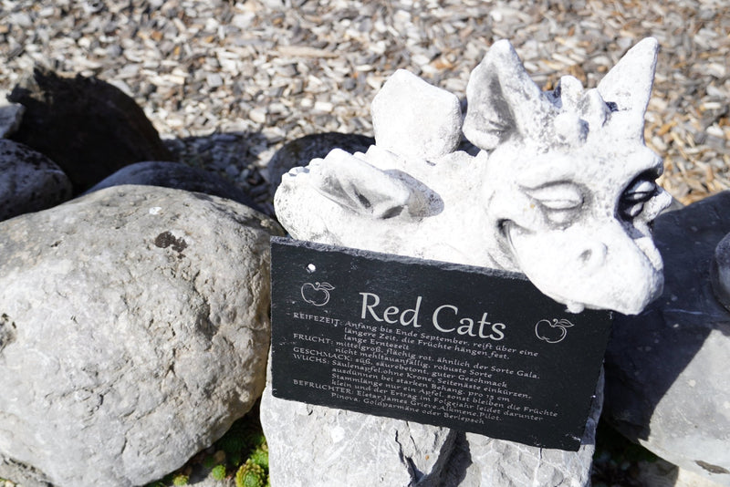 Garten Baumschilder Äpfel - RJC - Circle