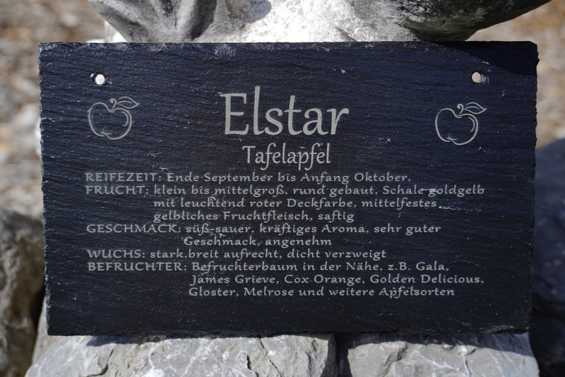 Garten Baumschilder Äpfel - RJC - Circle