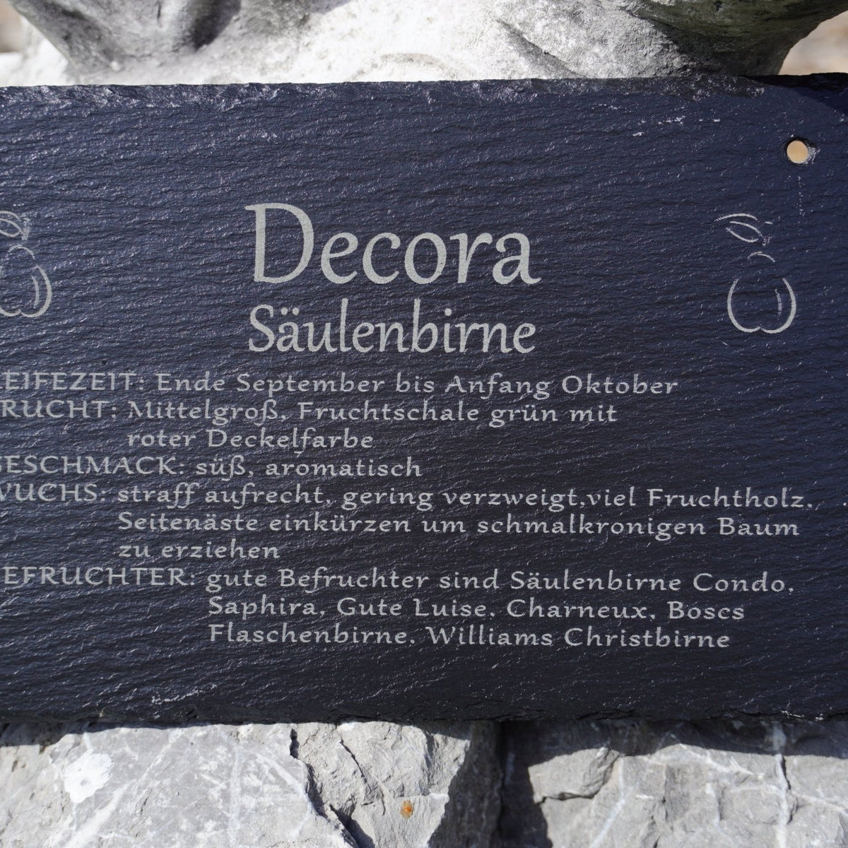Garten Baumschilder Birnen - RJC - Circle