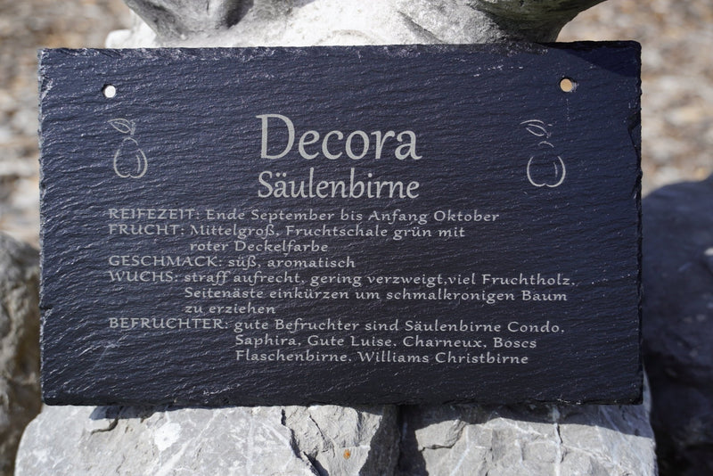 Garten Baumschilder Birnen - RJC - Circle