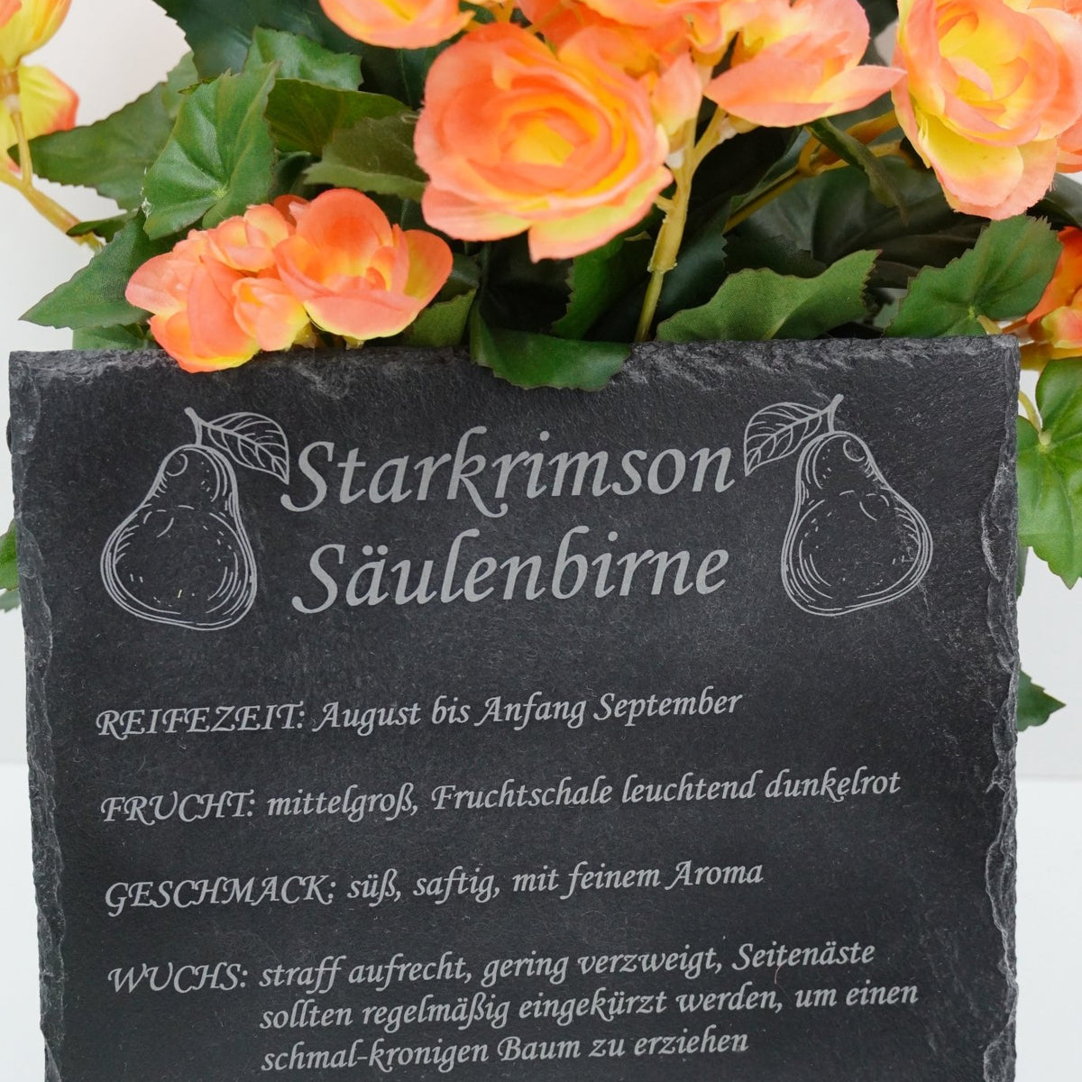 Garten Baumschilder Birnen - RJC - Circle