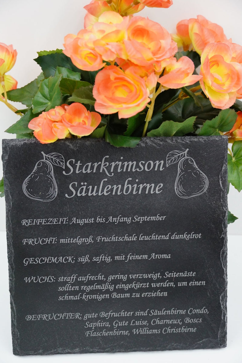 Garten Baumschilder Birnen - RJC - Circle