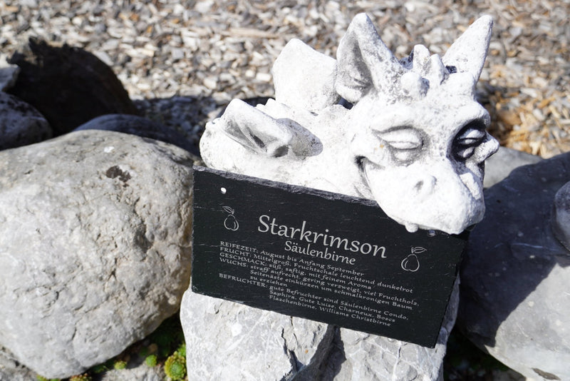 Garten Baumschilder Birnen - RJC - Circle