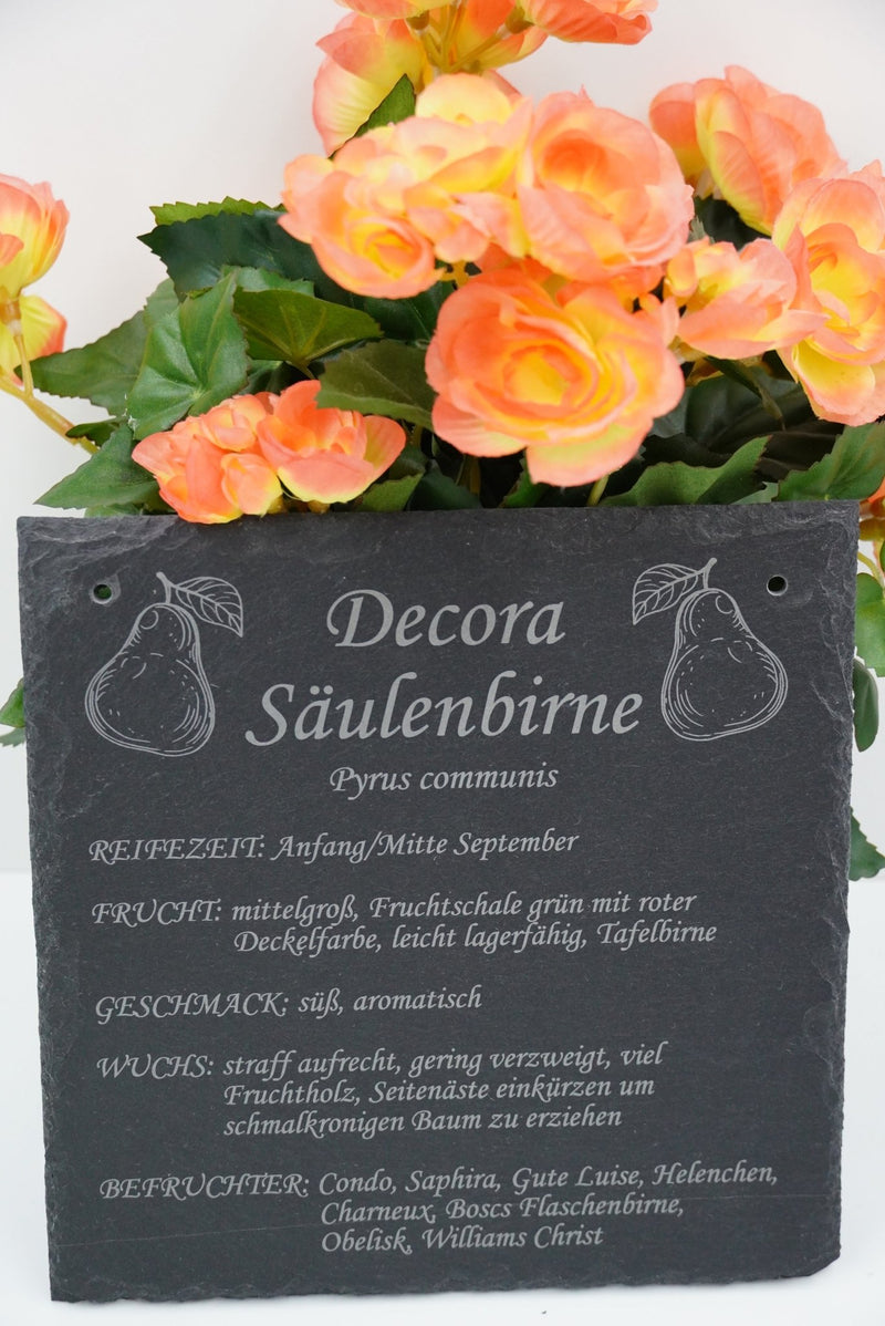 Garten Baumschilder Birnen - RJC - Circle