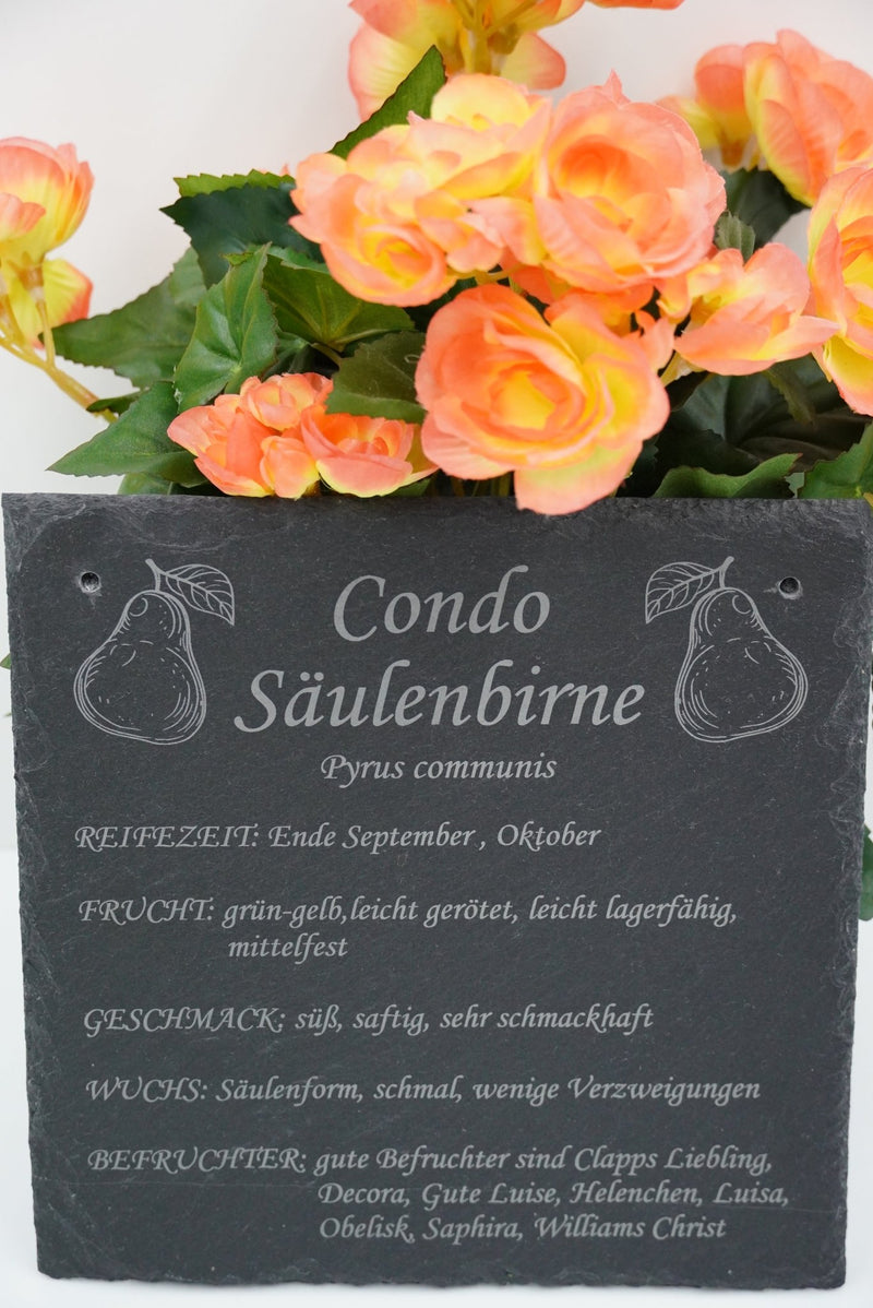 Garten Baumschilder Birnen - RJC - Circle