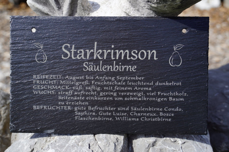 Garten Baumschilder Birnen - RJC - Circle