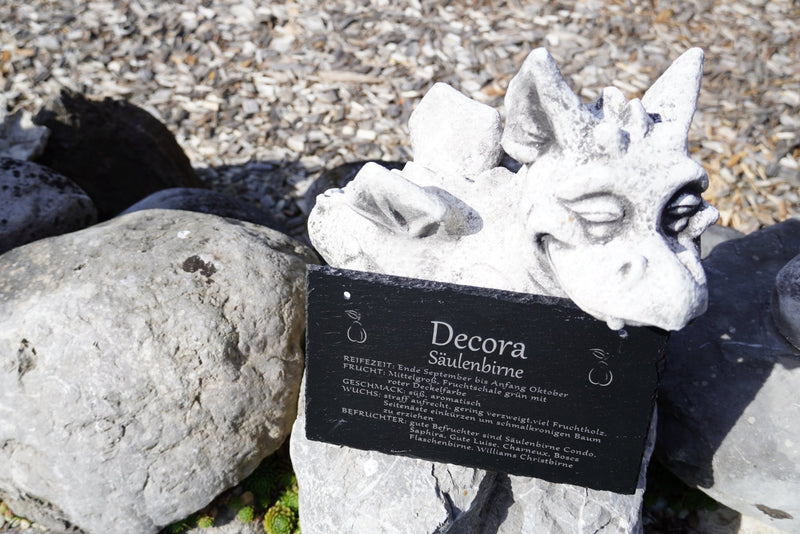 Garten Baumschilder Birnen - RJC - Circle