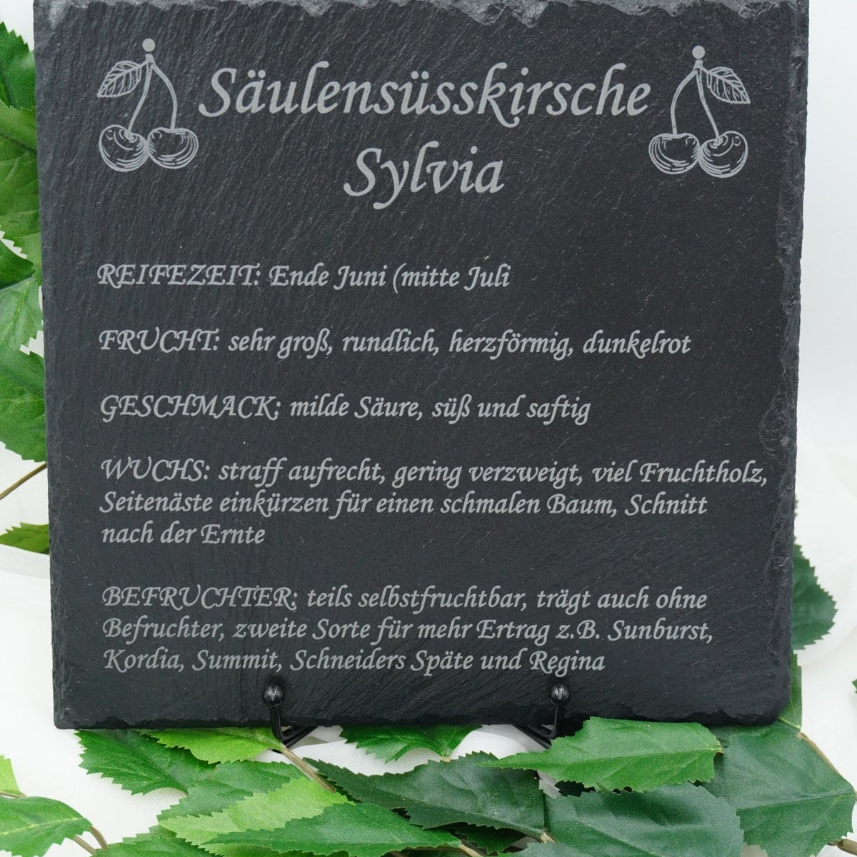 Garten Baumschilder Kirsche - RJC - Circle