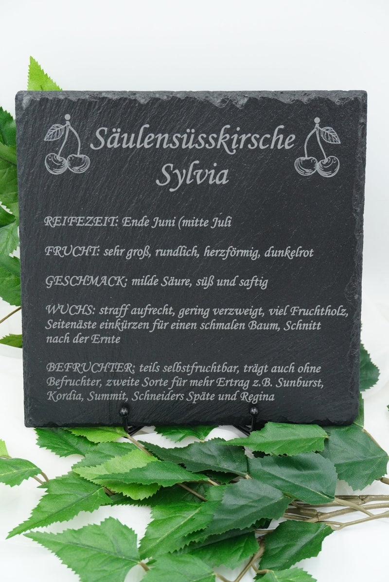 Garten Baumschilder Kirsche - RJC - Circle