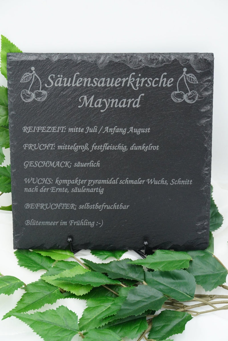 Garten Baumschilder Kirsche - RJC - Circle