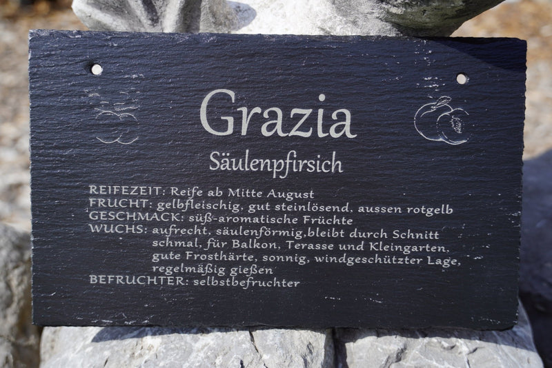 Garten Baumschilder Pfirsich - RJC - Circle