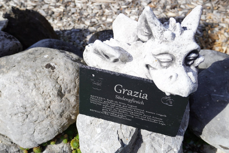 Garten Baumschilder Pfirsich - RJC - Circle