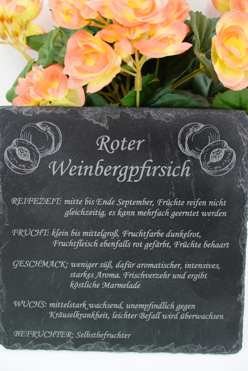 Garten Baumschilder Pfirsich - RJC - Circle