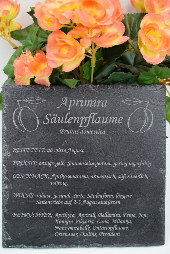 Garten Baumschilder Pflaumen - RJC - Circle