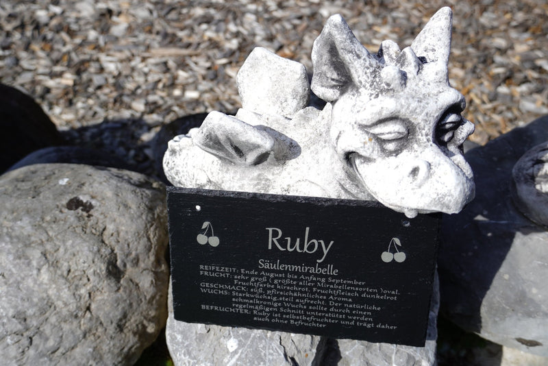 Garten Baumschilder Pflaumen - RJC - Circle