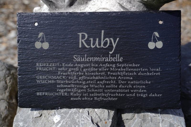 Garten Baumschilder Pflaumen - RJC - Circle