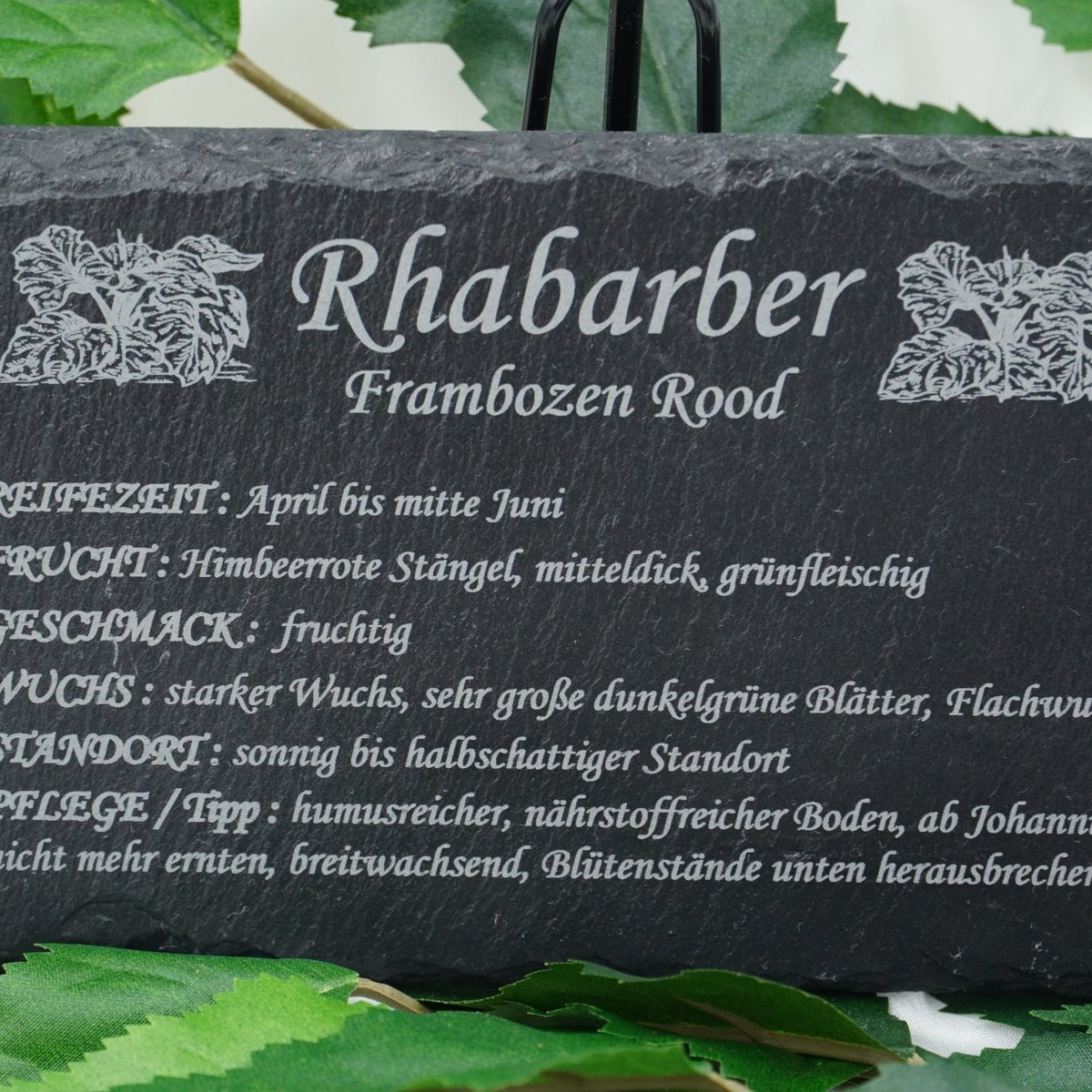 Garten Obst - und Strauchgehölze - RJC - Circle