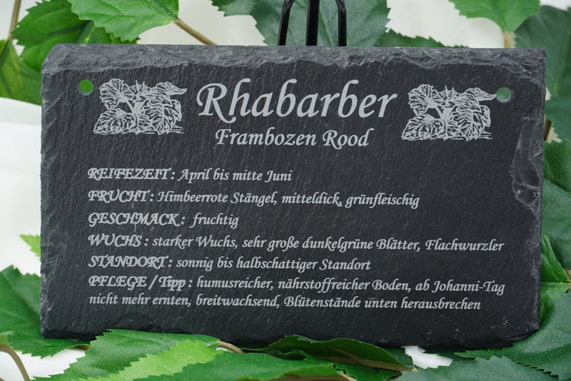 Garten Obst - und Strauchgehölze - RJC - Circle