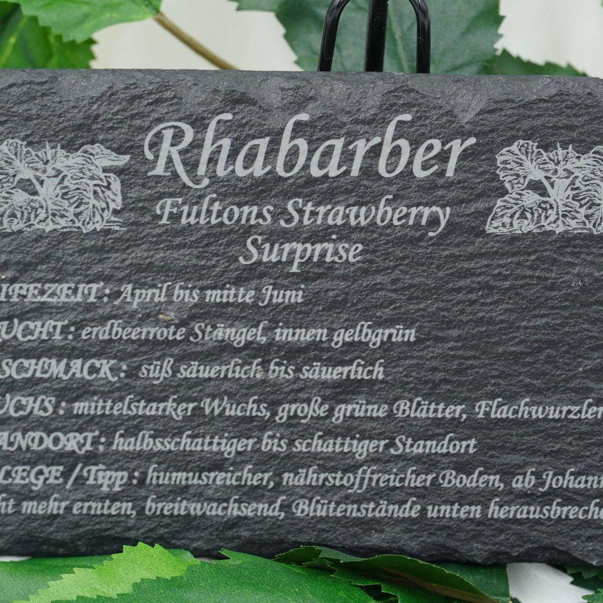Garten Obst - und Strauchgehölze - RJC - Circle