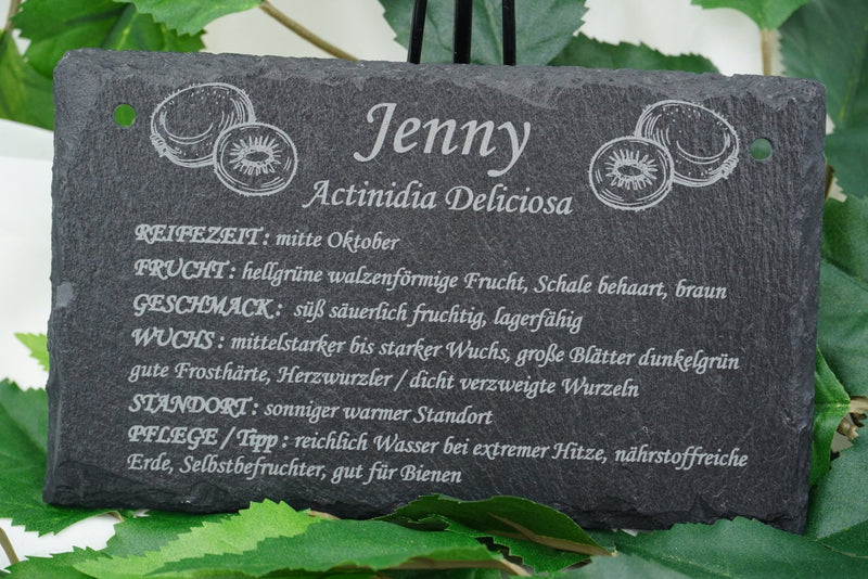 Garten Obst - und Strauchgehölze - RJC - Circle