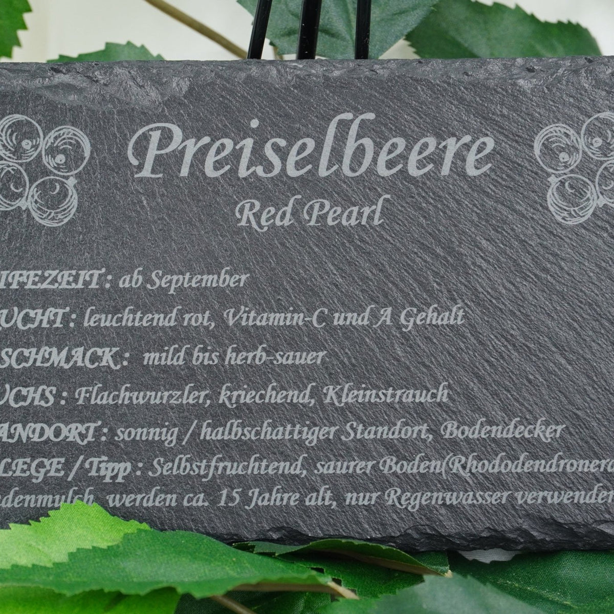 Garten Obst - und Strauchgehölze - RJC - Circle