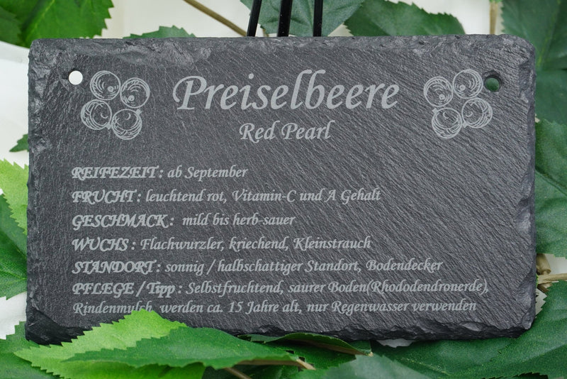 Garten Obst - und Strauchgehölze - RJC - Circle