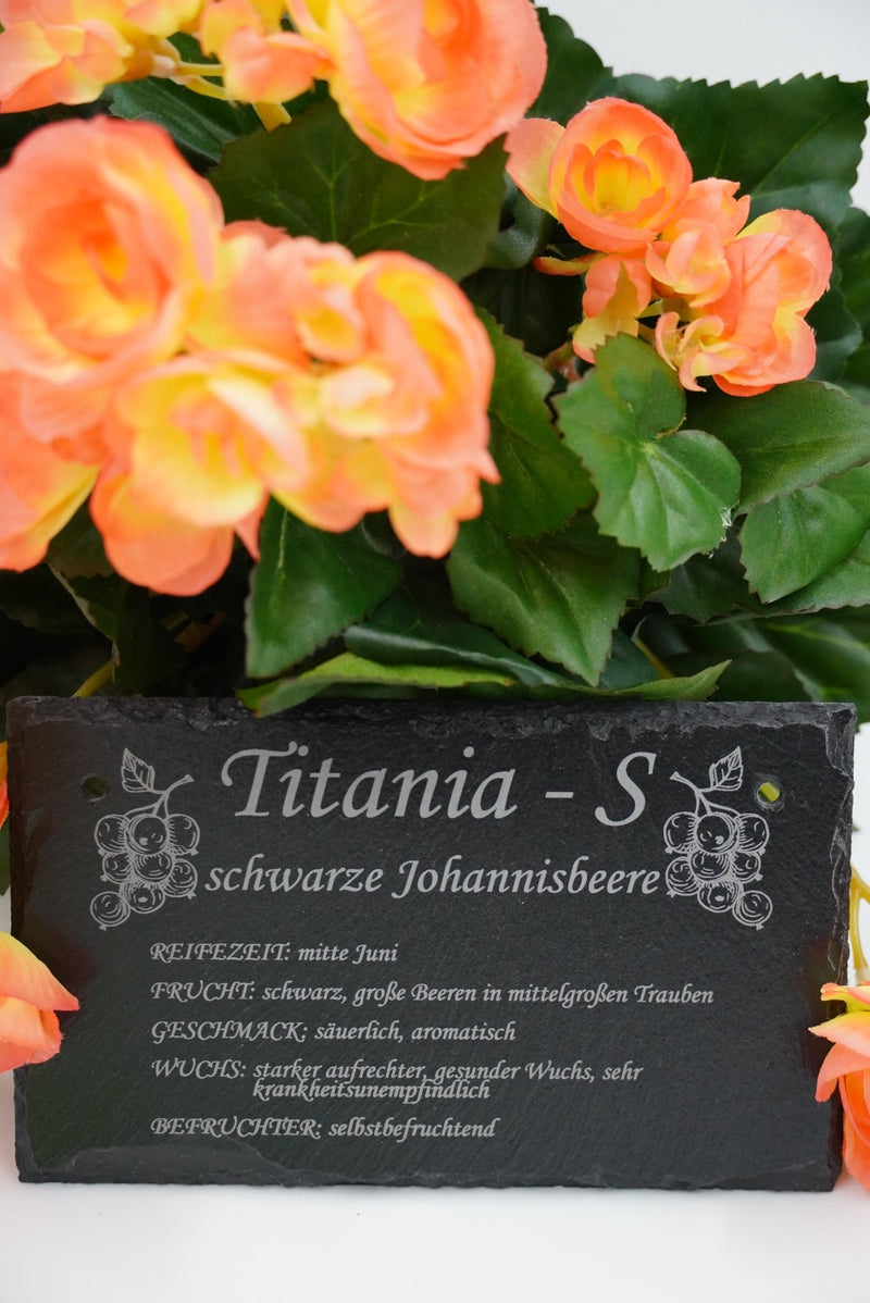 Garten Obst - und Strauchgehölze - RJC - Circle