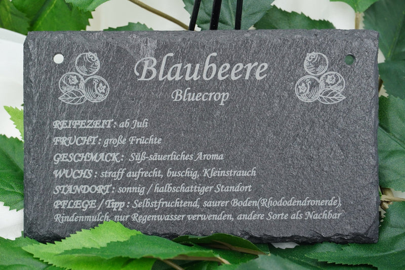 Garten Obst - und Strauchgehölze - RJC - Circle